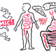 Illustration for article titled The American Parasite